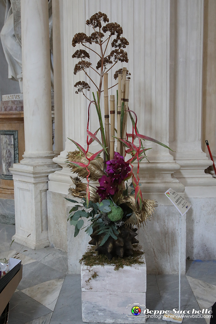 VBS_0249 - Corollaria Flower Exhibition 2022.jpg
